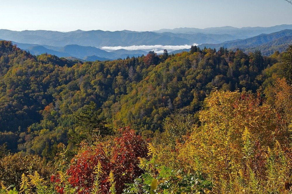 Forested Smoky Mountain ridges along Newfound Gap Road