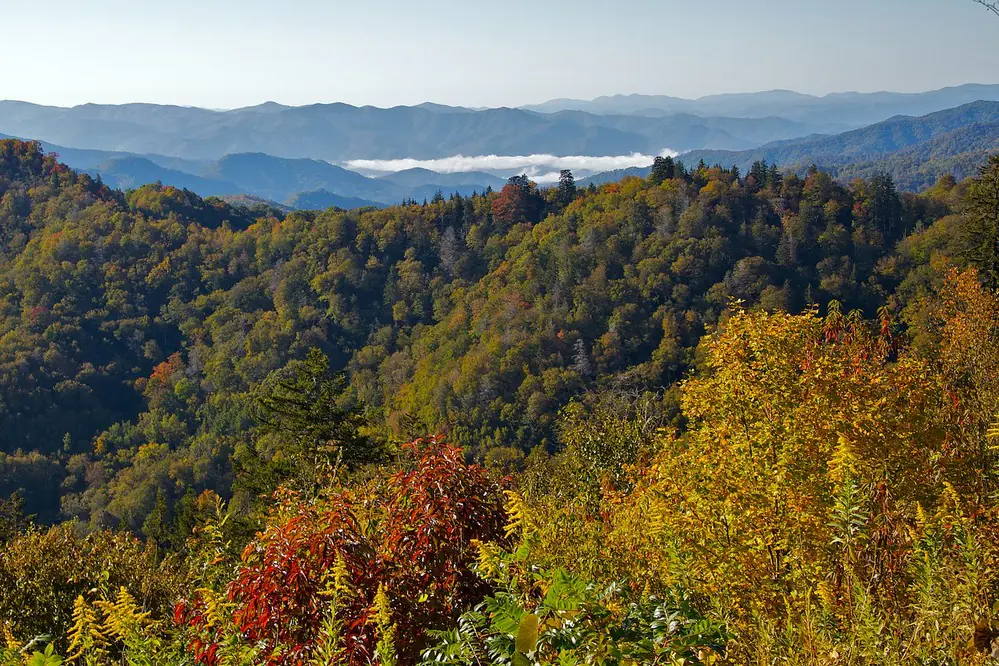 Forested Smoky Mountain ridges along Newfound Gap Road
