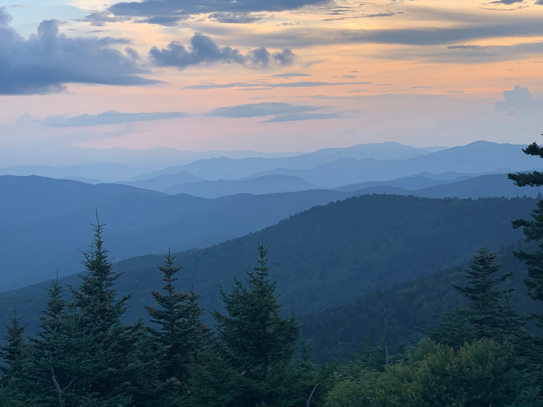 Forested mountain ridges viewed above leafy trees