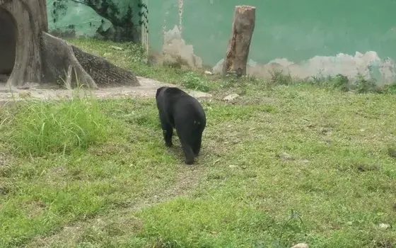 Zoo Negara, Selangor (KL area)